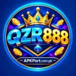 QZR888 Game logo