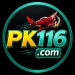 Pro116 Game logo